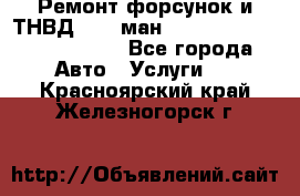 Ремонт форсунок и ТНВД Man (ман) TGA, TGL, TGS, TGM, TGX - Все города Авто » Услуги   . Красноярский край,Железногорск г.